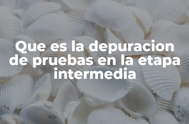 Que es la Depuracion de Pruebas en la Etapa Intermedia