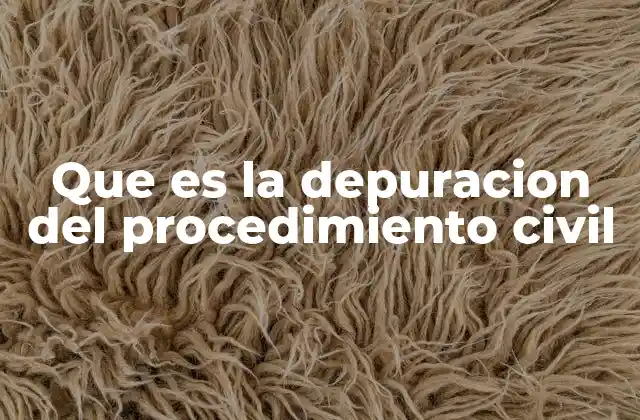 Que es la Depuracion Del Procedimiento Civil 2 La importancia de un procedimiento civil bien estructurado