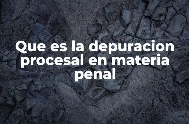 Que es la Depuracion Procesal en Materia Penal