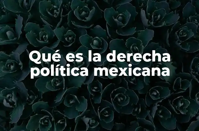Qué es la Derecha Política Mexicana