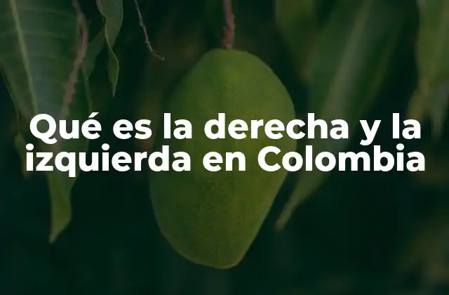 Qué es la Derecha y la Izquierda en Colombia