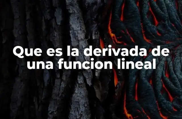 Que es la Derivada de una Funcion Lineal