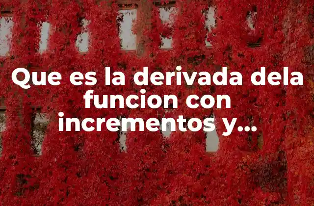 Que es la Derivada Dela Funcion con Incrementos y Decrementos