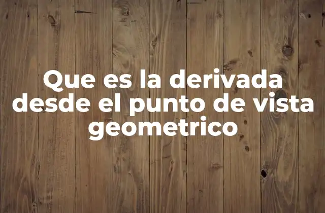 Que es la Derivada desde el Punto de Vista Geometrico