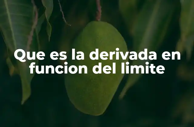 Que es la Derivada en Funcion Del Limite