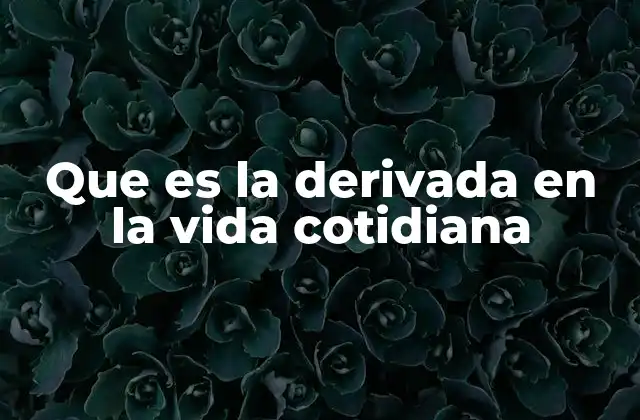 La derivada como herramienta de análisis en el día a día