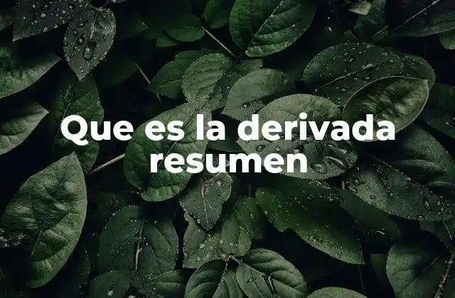 Que es la Derivada Resumen