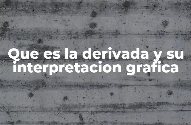 Que es la Derivada y Su Interpretacion Grafica