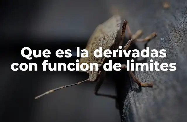 Que es la Derivadas con Funcion de Limites