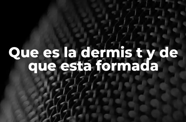 Que es la Dermis T y de que Esta Formada