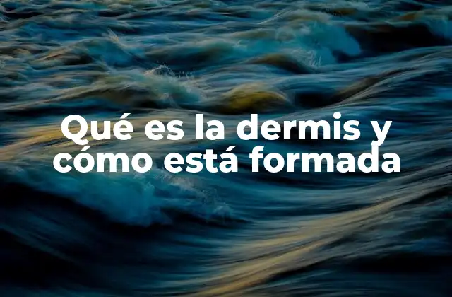 Qué es la Dermis y Cómo Está Formada