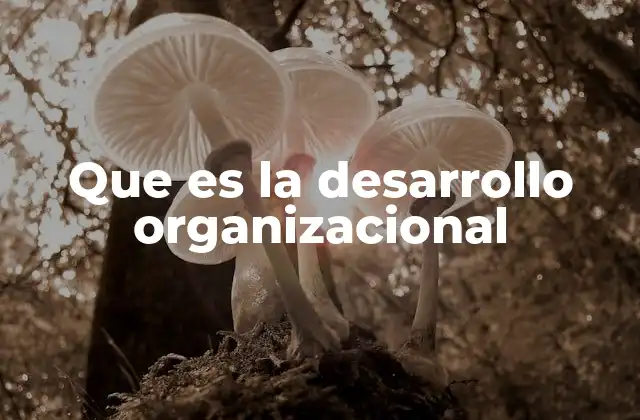 Que es la Desarrollo Organizacional