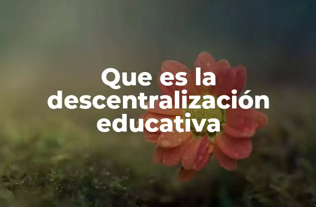 La importancia de la autonomía en el sistema educativo