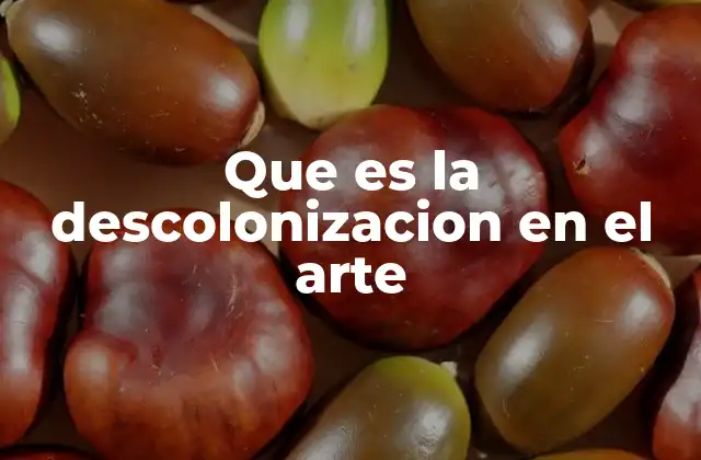 Que es la Descolonizacion en el Arte
