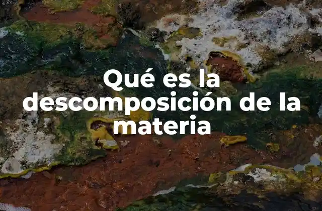 Qué es la Descomposición de la Materia