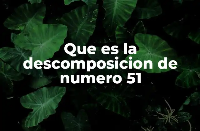 Que es la Descomposicion de Numero 51