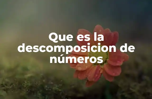 Que es la Descomposicion de Números