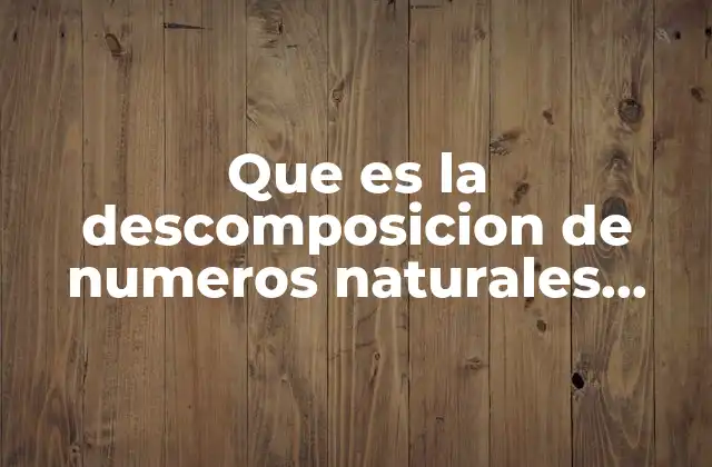 Que es la Descomposicion de Numeros Naturales para Primaria