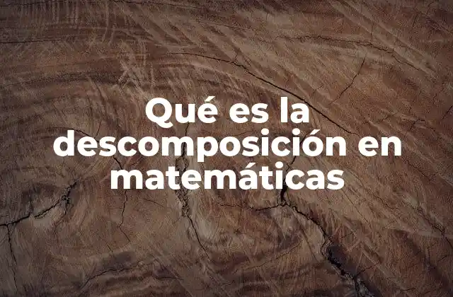 Qué es la Descomposición en Matemáticas