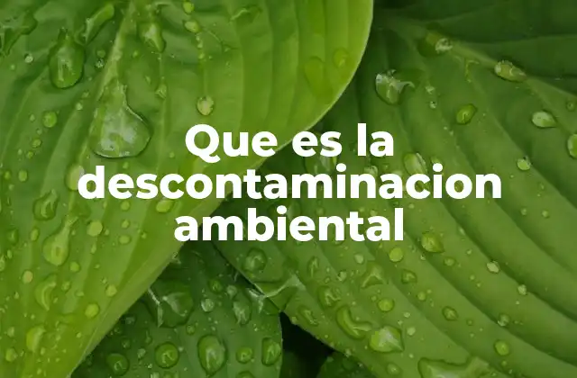 Que es la Descontaminacion Ambiental