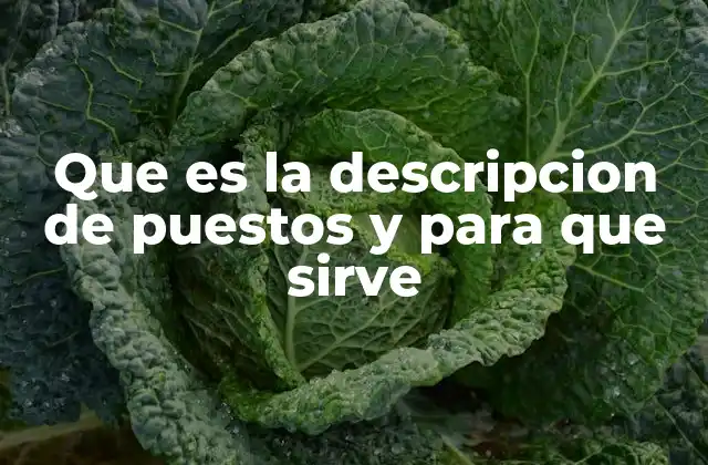 Que es la Descripcion de Puestos y para que Sirve