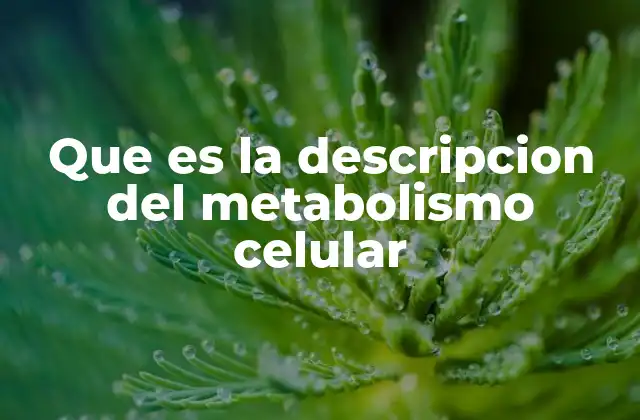 Los componentes esenciales del metabolismo celular