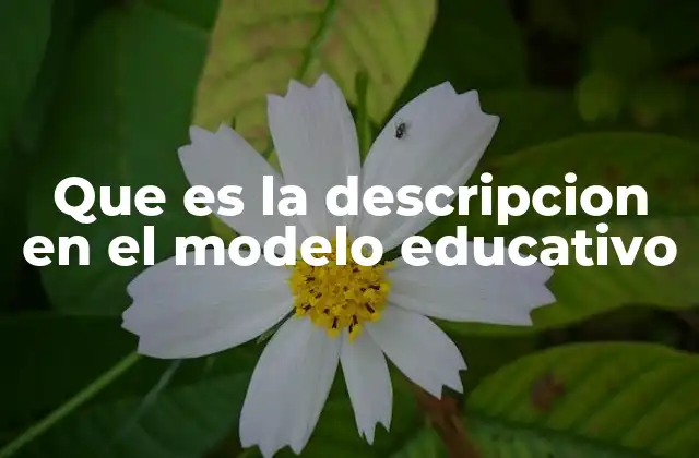 Que es la Descripcion en el Modelo Educativo