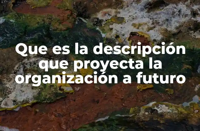 Que es la Descripción que Proyecta la Organización a Futuro