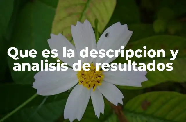 Que es la Descripcion y Analisis de Resultados