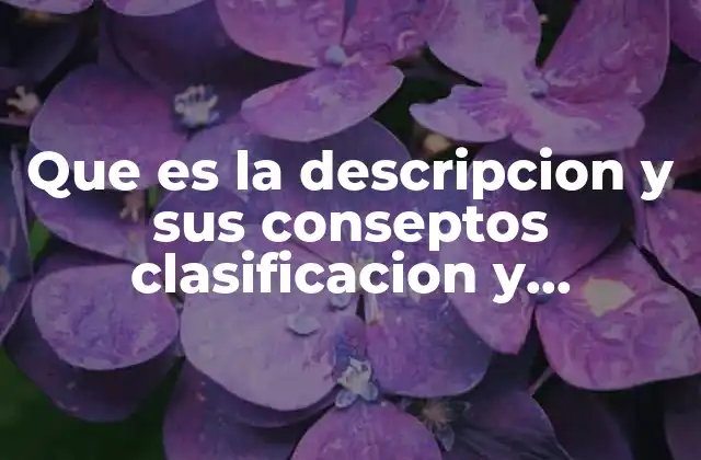 Que es la Descripcion y Sus Conseptos Clasificacion y Caracteristicas