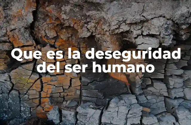 Que es la Deseguridad Del Ser Humano