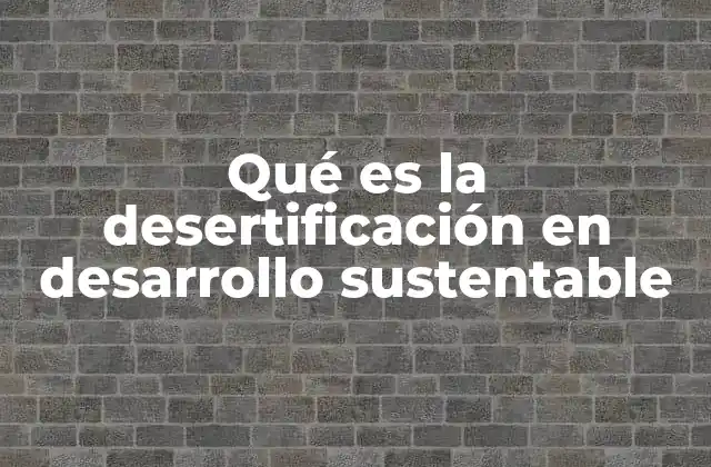 Qué es la Desertificación en Desarrollo Sustentable