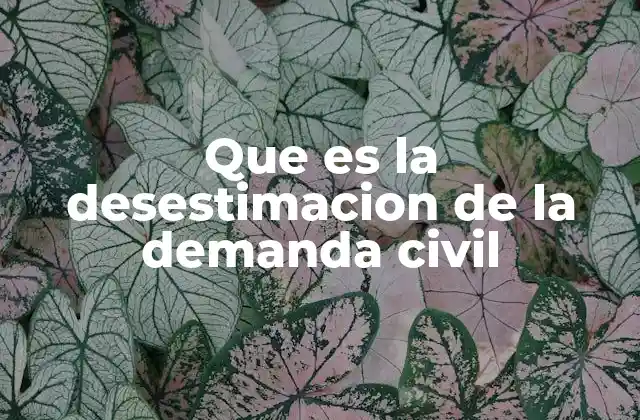 Que es la Desestimacion de la Demanda Civil