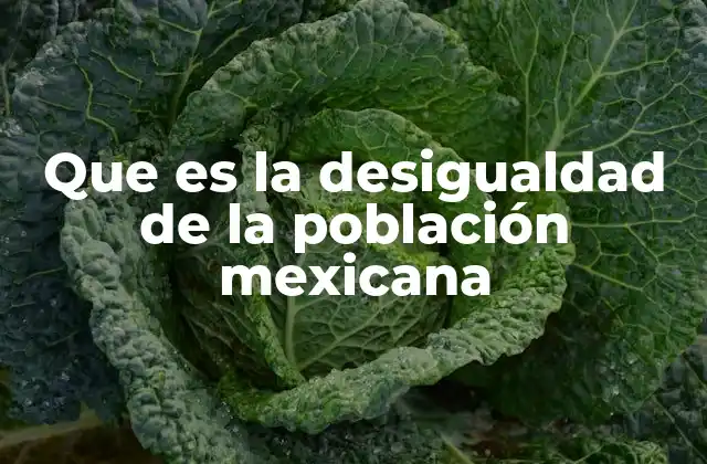 Que es la Desigualdad de la Población Mexicana