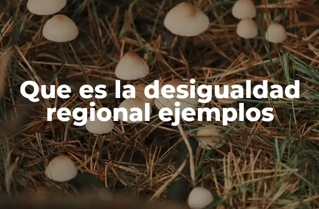 Que es la Desigualdad Regional Ejemplos