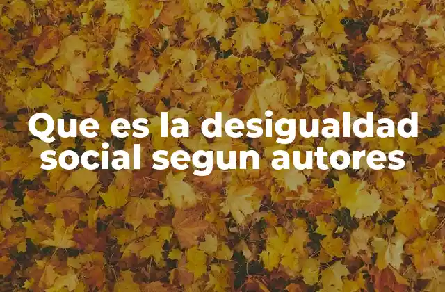 Que es la Desigualdad Social Segun Autores