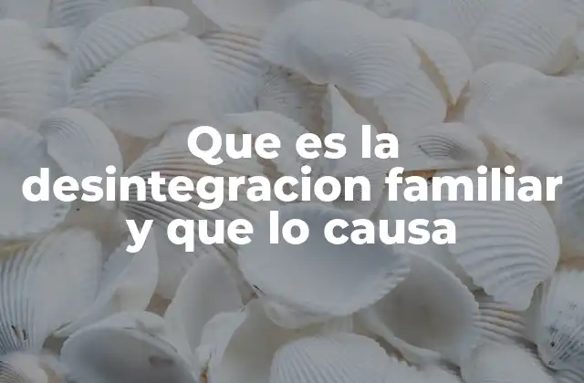 Que es la Desintegracion Familiar y que Lo Causa