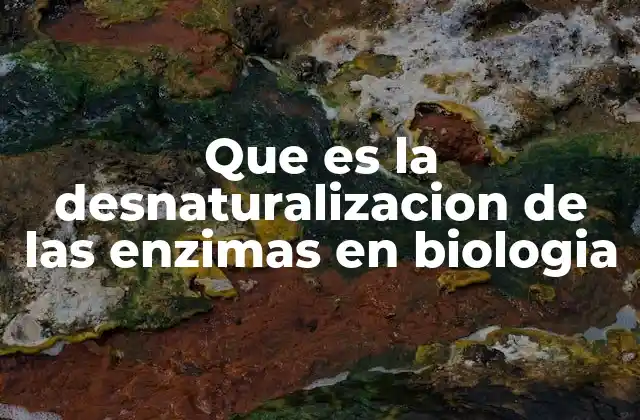 Que es la Desnaturalizacion de las Enzimas en Biologia