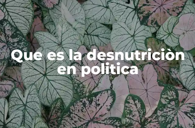 Que es la Desnutriciòn en Politica