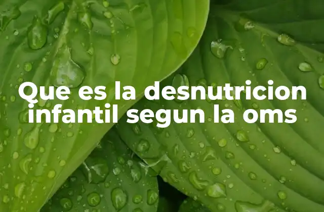 Que es la Desnutricion Infantil Segun la Oms