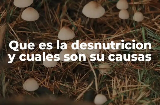 Factores que contribuyen a la desnutrición