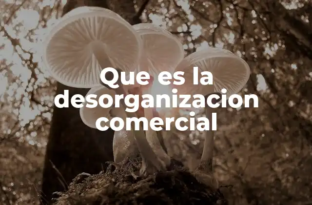 Que es la Desorganizacion Comercial