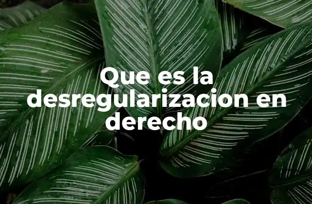 Que es la Desregularizacion en Derecho