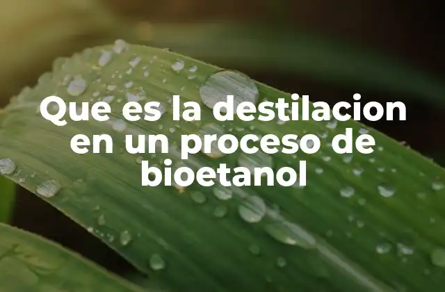 Que es la Destilacion en un Proceso de Bioetanol