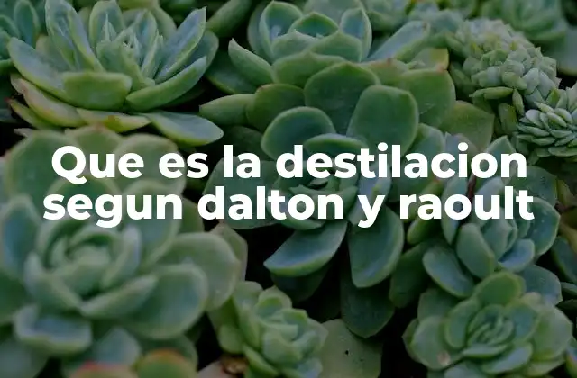 Que es la Destilacion Segun Dalton y Raoult