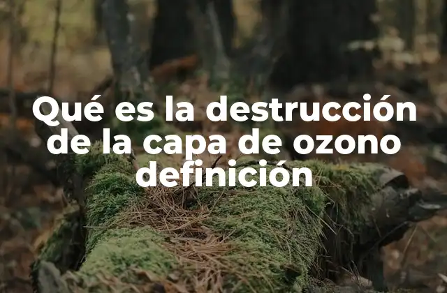 Qué es la Destrucción de la Capa de Ozono Definición