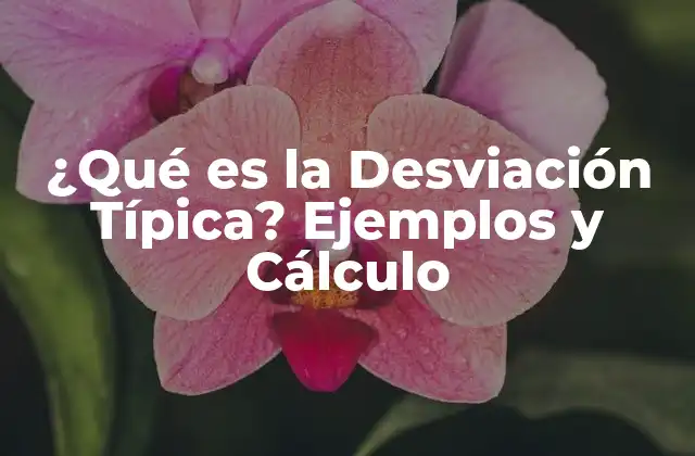 ¿qué es la Desviación Típica? Ejemplos y Cálculo
