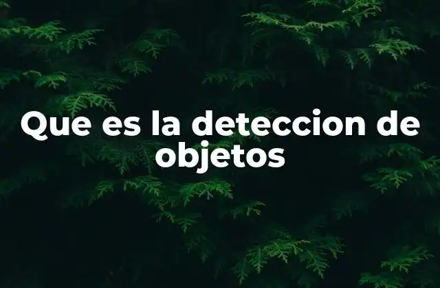 Que es la Deteccion de Objetos