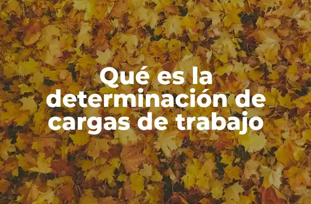 Qué es la Determinación de Cargas de Trabajo