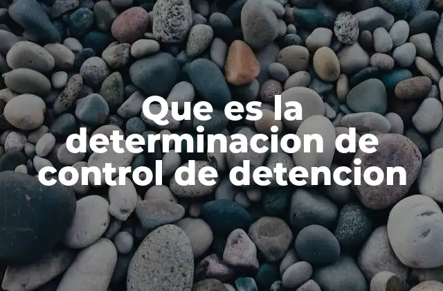 La importancia del control de detención en el sistema penal